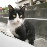 20080502 082