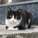 20080502 060