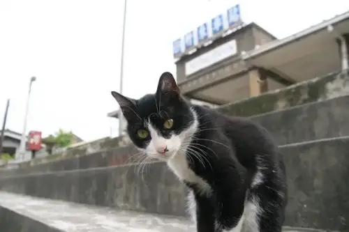 20080502 088.webp