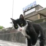 20080502 088
