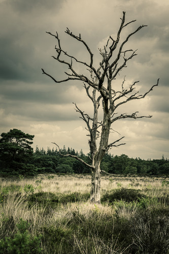 14 juli 2023 Speelterrein Stakenberg en Garderen 1298.jpg