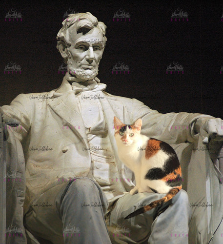 9rcd4yd1lzbb1 copy.jpg