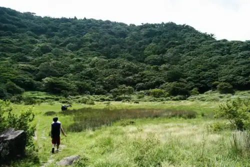 20080628 124.webp