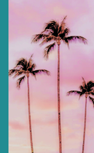calitree.png