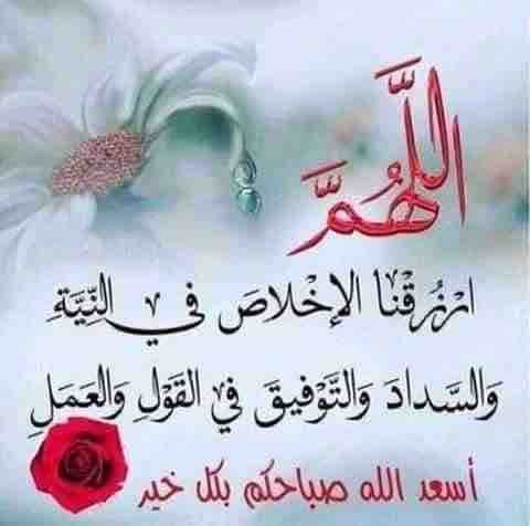 1D4BB0EC B0CC 47CC 8C5B CC7984E5E948.jpg