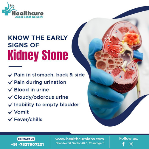 kidney function test in chandigarh.jpg