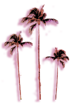 calitree.png