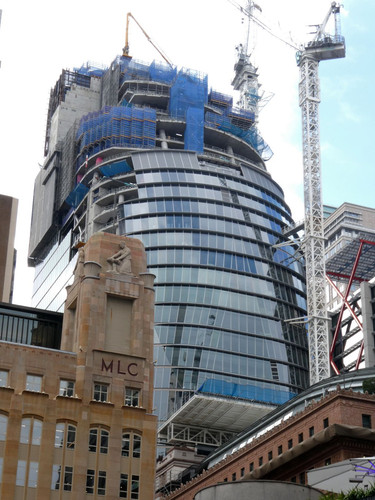 P1000851.jpg