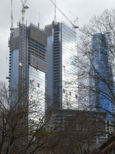 P1000856.jpg