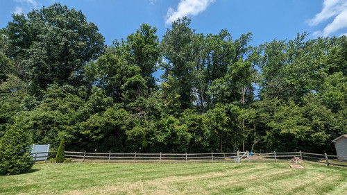 PXL 20230713 155907691.jpg