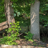 PXL 20230713 144729124.NIGHT