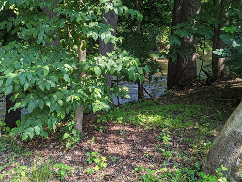 PXL 20230713 144706183