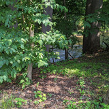 PXL 20230713 144706183