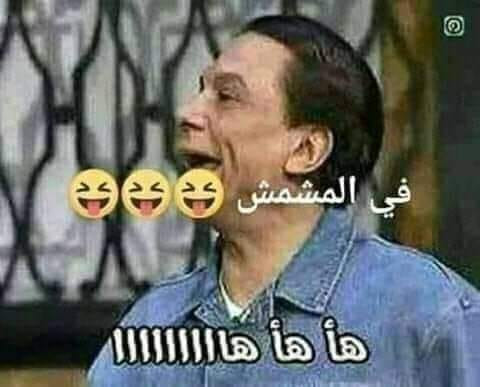 139816462 158944499359230 8935040817982349925 n.jpg