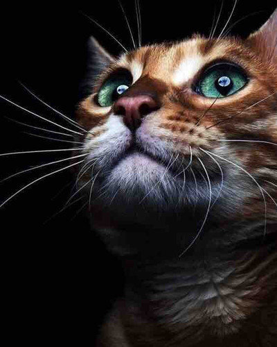 BBCEF65A C3D1 4E04 B297 BBC5AC437B30.jpg