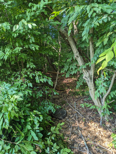 PXL 20230713 144253448