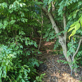 PXL 20230713 144253448