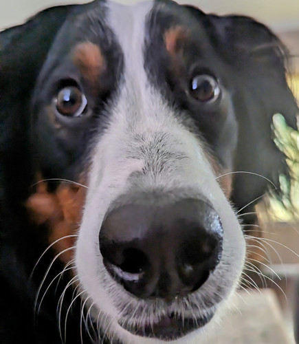 PXL 20230713 150736877~2