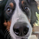 PXL 20230713 150736877~2