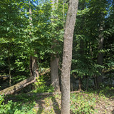 PXL 20230713 154838116