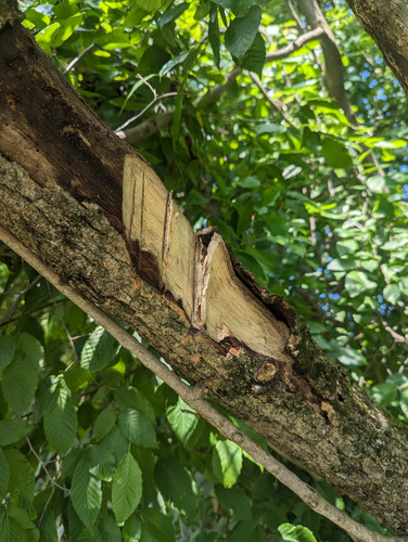 PXL 20230713 142556773