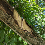 PXL 20230713 142556773