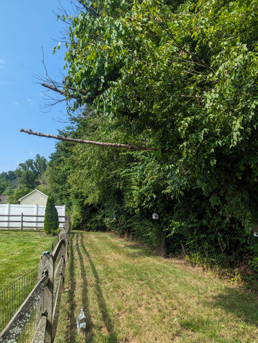 PXL 20230713 142718904