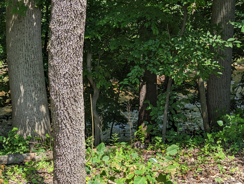 PXL 20230713 155217744