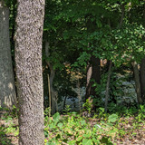 PXL 20230713 155217744