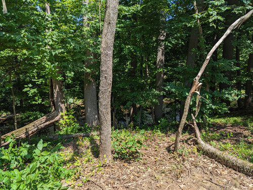 PXL 20230713 155209844