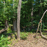 PXL 20230713 155209844