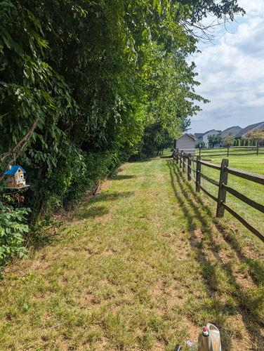 PXL 20230713 143345963