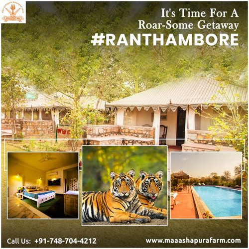 best resorts in Ranthambore.jpg