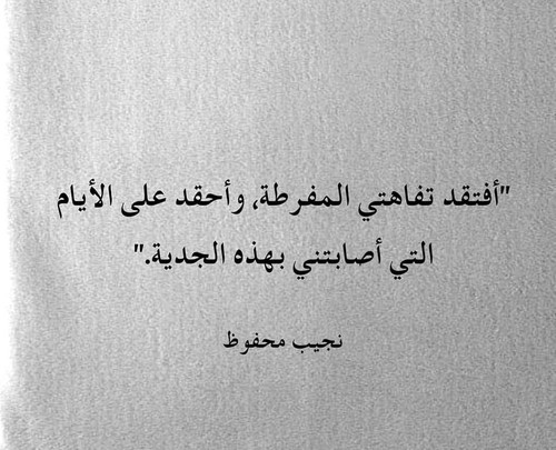 359003739 1476189929858410 2706776189124933730 n.jpg