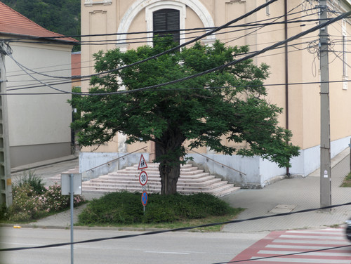 AGC 20230713 185715898.jpg