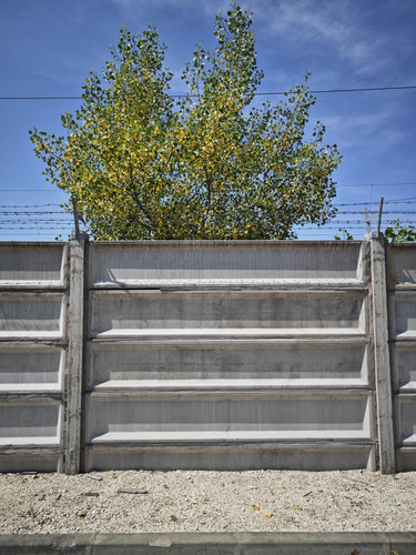 IMG 20230714 112621.jpg