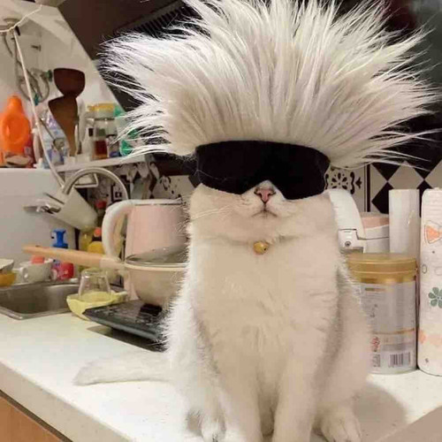 8622A2A5 5371 4547 B203 4522039545E2.jpg