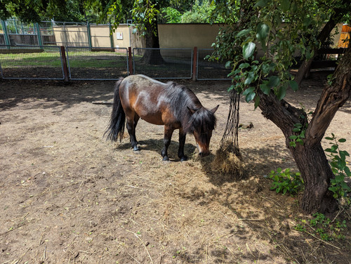 PXL 20230625 105459081.jpg