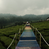 JEMBATAN PELANGI