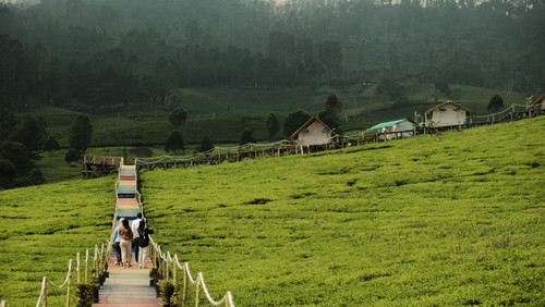 PADAAWAS RAINBOW.jpg