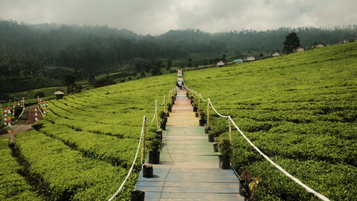 JEMBATAN PADAAWAS.jpg