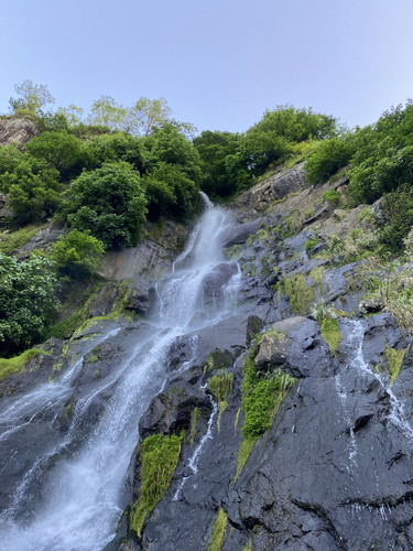 DF253529 1567 4168 8A92 AFB690DB894A.jpg