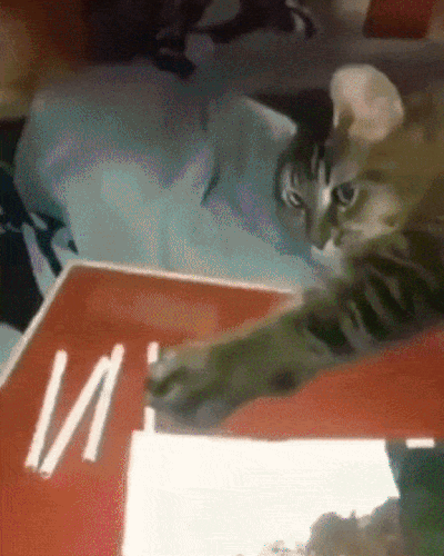 ezgif 2 35517b0546.gif