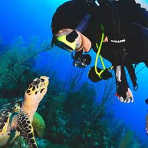 Scuba Diving Lessons NJ.jpg
