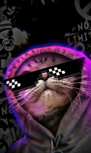 image.jpg