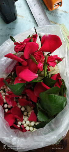 IMG20210609115531.jpg
