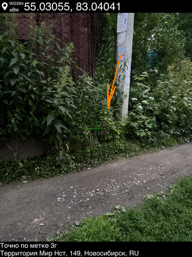 4 тай.jpg