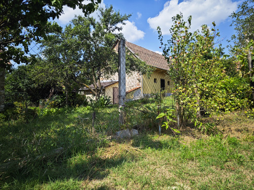 IMG 20230716 150836.jpg