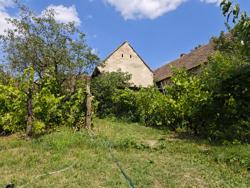 IMG 20230716 151026.jpg