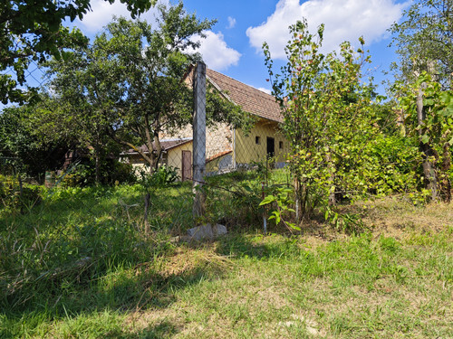 IMG 20230716 150829.jpg